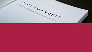 Diplomarbeit - Irene F. Labner 